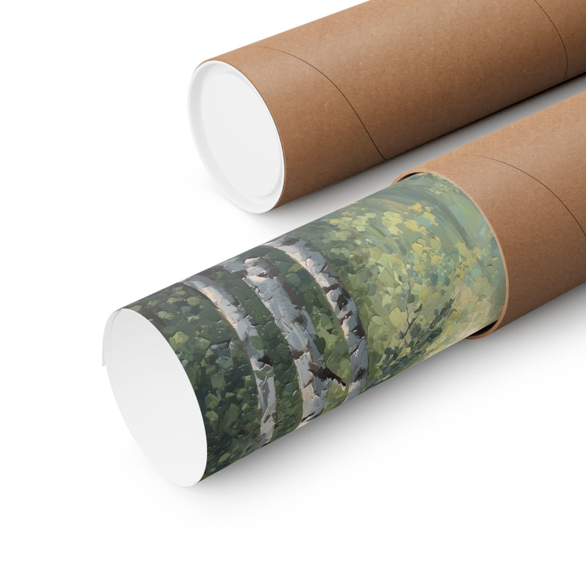 Birch Forest Trail Poster