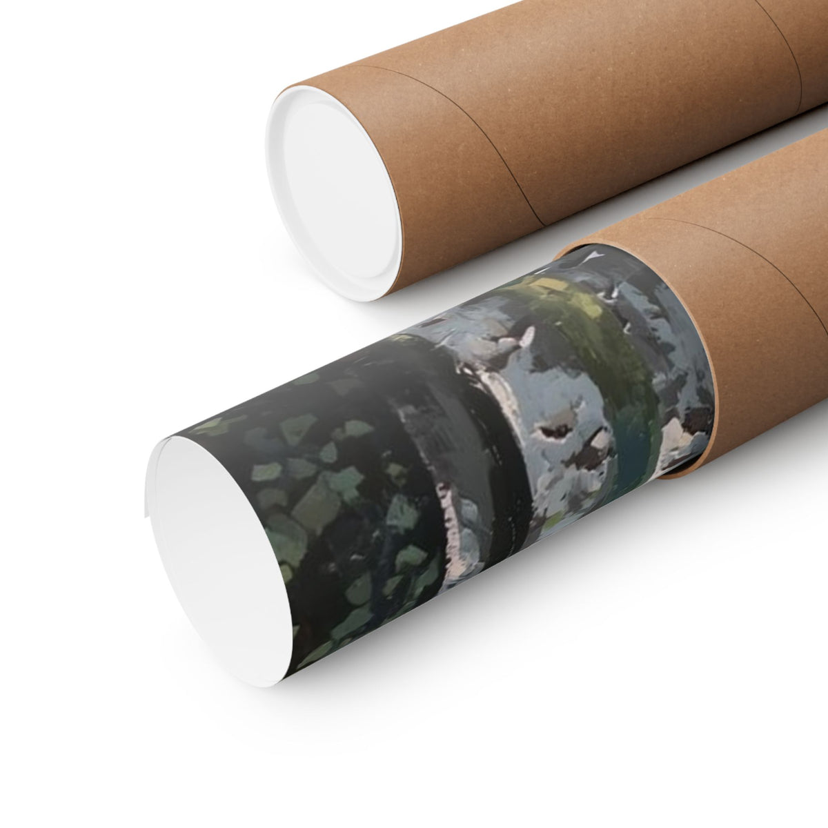 Birch Forest Trail Poster