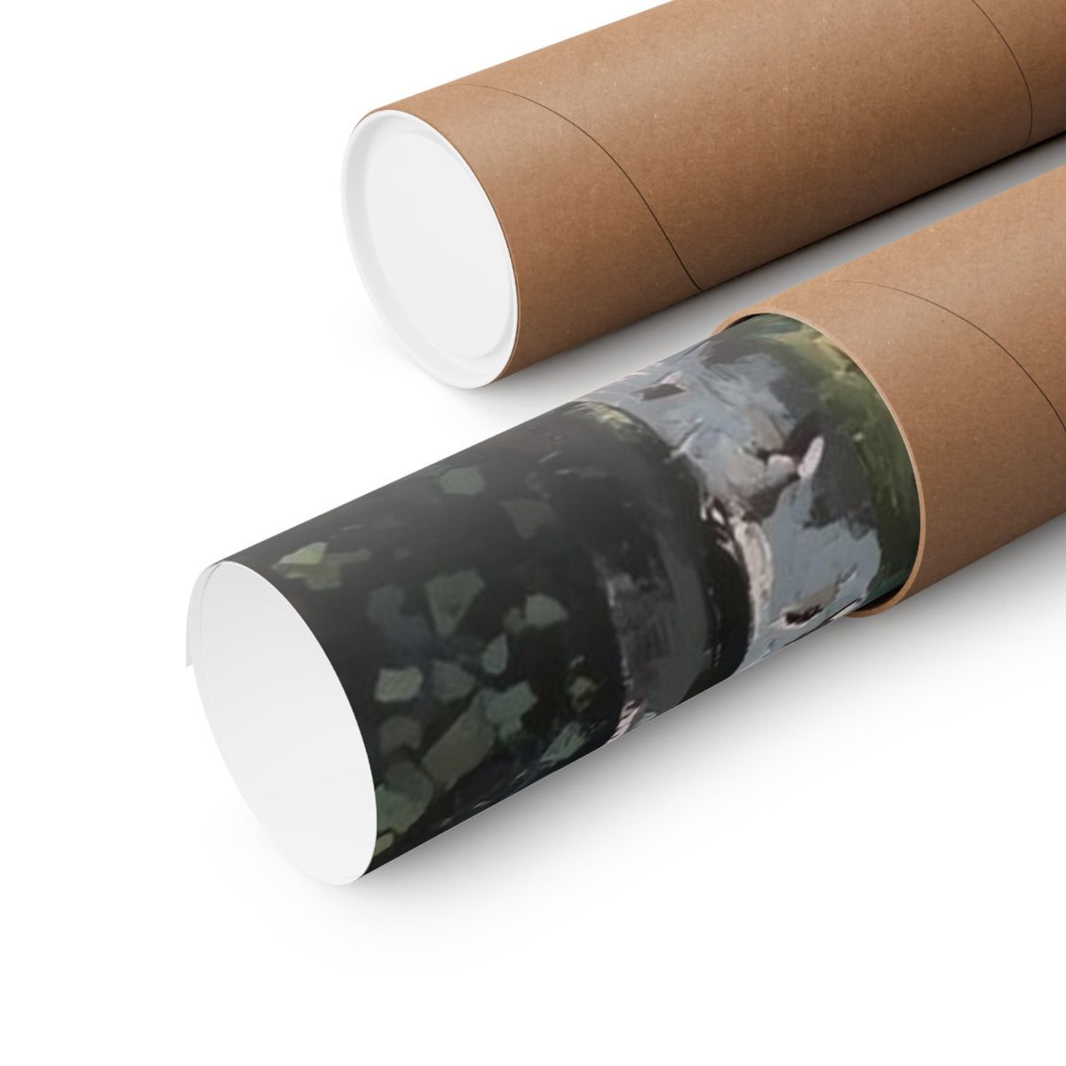 Birch Forest Trail Poster